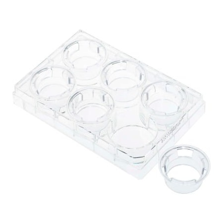 Celltreat CELLTREAT Permeable Cell Culture Inserts, Packed in 6 Well Plate, Hanging, PET, 0.4m, Sterile 230607